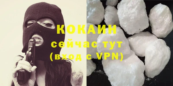 ГАЛЛЮЦИНОГЕННЫЕ ГРИБЫ Медвежьегорск