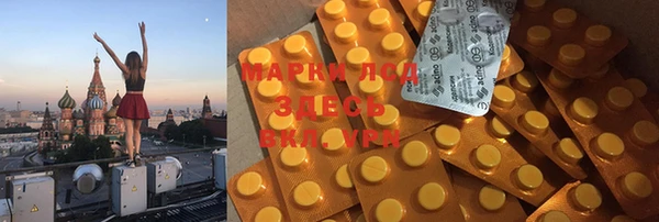 ПСИЛОЦИБИНОВЫЕ ГРИБЫ Арсеньев