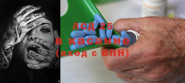 гашик Аркадак