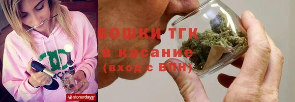 гашик Аркадак