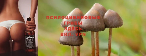 гашик Аркадак