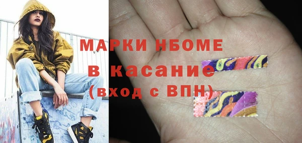 ПСИЛОЦИБИНОВЫЕ ГРИБЫ Арсеньев